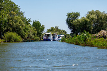 Boats in the swamps of the Danube Delta