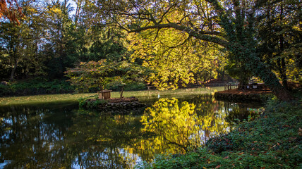 Monza park in autumn