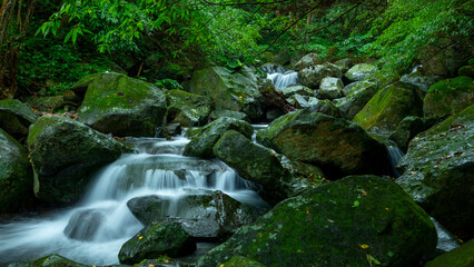 Verdant, valleys, streams, cool, clear, streams,
