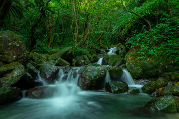 In the emerald valley flows a cool and clear stream