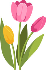 Bouquet of tulips Floral design element. Vector illustration