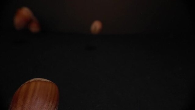 Macro Close Up view of Hazelnuts falling in a black environement in very slow motion