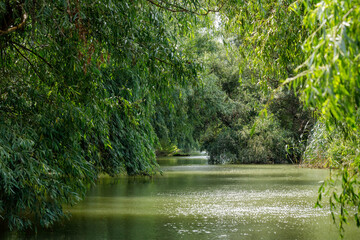 The swamps and wilderness of the Danube Delta in Romania	
