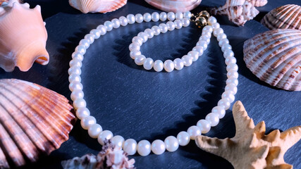 Natural pearl necklace, bracelet, seashell on blue stone background. Elegant fashion style concept. Selective focus