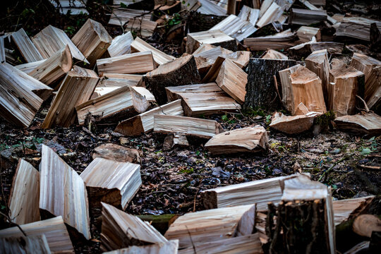 Bois de chauffage