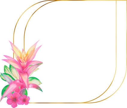 recommend clip art: Tropical frame design with leaves and flowers, exotic floral illustration design, wedding invitation