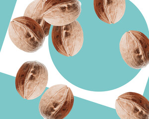 walnut in the skin on an isolated background
