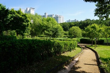 Fototapeta premium 산책로