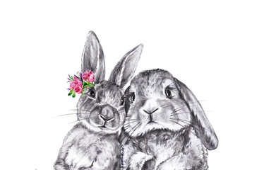 Realistic love rabbits with  simple pencil. Couple of rabbits in  embrace, isolated on  white background.