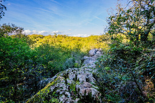 Le Bois De Païolive en Ardèche
