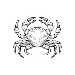 Vector black and white illustration of crab