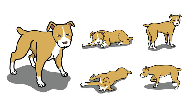 Pitbull terrier cartoon character set