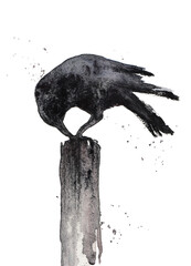 Black watercolour raven sitting on a wooden pole. Crow - gothic black and white illustration