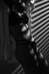 Woman in lingerie and shirt, Black and white nudity. Sexy nude, erotic body. Artistic dark photo of...