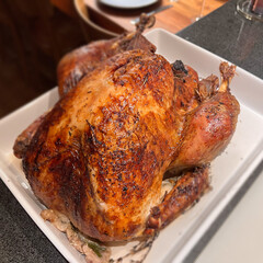 Thanksgiving Turkey