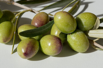 Aceitunas picual