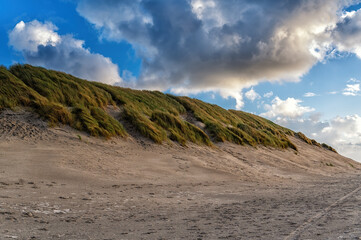 Dunes, grown with Beach Grass, on a North Sea beach at Ameland.