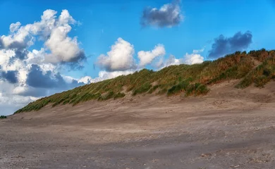 Fototapeten Dunes, grown with Beach Grass, on a North Sea beach at Ameland. © atosan