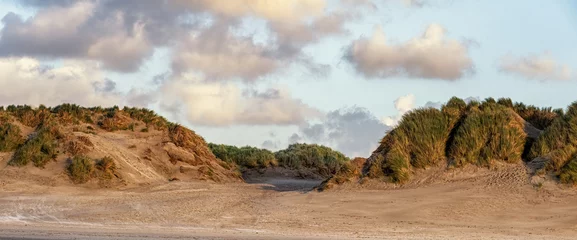 Gordijnen Dunes, grown with Beach Grass, on a North Sea beach at Ameland. © atosan