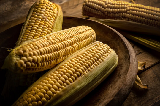 Grupo de mazorcas de ma&iacute;z (Zea mays) en un plato de madera sobre una mesa r&uacute;stica