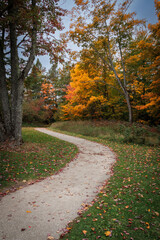 Fototapeta na wymiar Path to Autumn