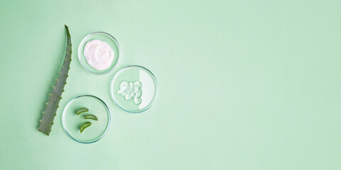 Photography from above of petri dishes with cosmetics gel in it and slices of aloe vera.Organic...