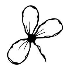 hand drawn doodle plant element for floral design concept