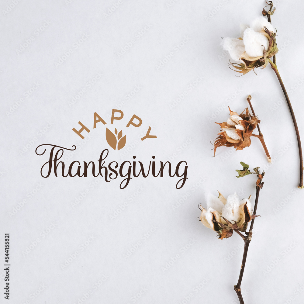 Poster Happy Thanksgiving graphic element greeting with text, minimalism style white square background with cotton for holiday. - Posters