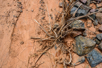 Stones and a dried bush on dried red clay after a landslide in the mountains