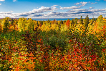 Autumn Overlook (2022)