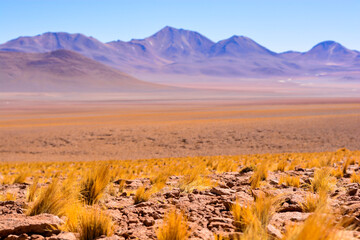 monges de pacana, atacama, chile
