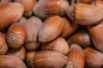 Macro of many hazelnuts