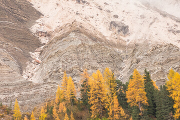 Focus on a stratificated dolomia area in the Dolomites