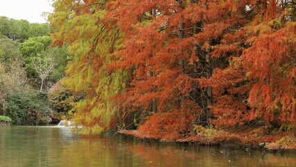 Autunno Parco Bucci Faenza