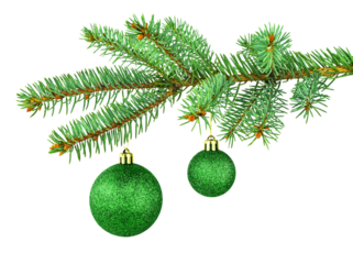 Christmas tree and two green shiny toys. Monochrome. Isolated spruce branch and holiday decor on white background. New Year