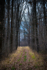 Autumn Ukraine Kharkiv