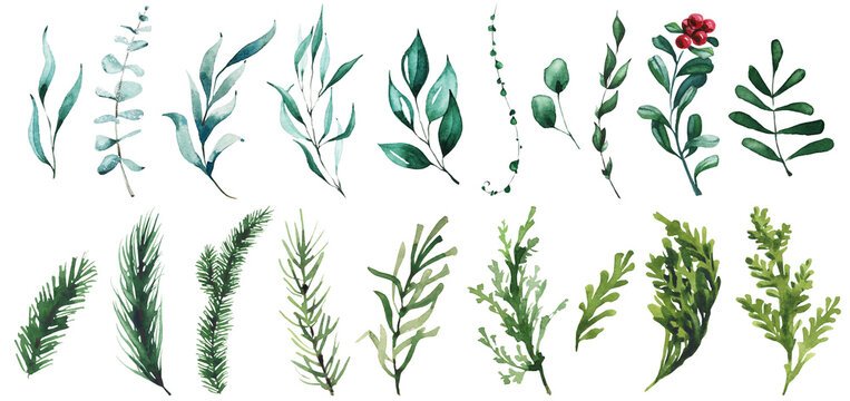 Watercolor Christmas set of evergreen twigs. Green and blue textures. Cut out hand drawn PNG illustration on transparent background. Watercolour clipart drawing.