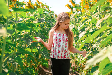 A twelve-year-old teenage girl walks in a field of sunflowers