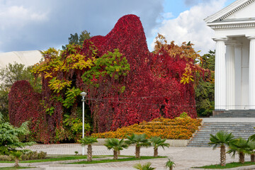 Obraz premium Bright autumn plans in park near Dorian portico of building.