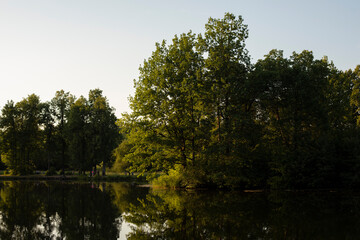 Fototapeta na wymiar Trees reflected in water. Lake in park. Summer pond in estate.