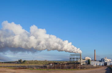 Gas emissions from olive oil factory
