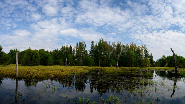 Pond At Mineola NP_6359-Pano