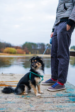 Man dog owner and his friend dog are standing on the wooden pier near lake and enjoying the landscape during their walking in the autumn season time. Human and pet concept image.