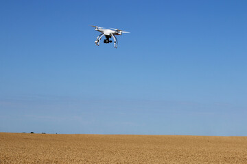 Fototapeta na wymiar a drone flies over a wheat field