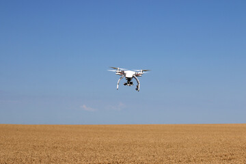 Fototapeta na wymiar a drone flies over a wheat field agriculture