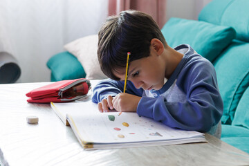 Boy doing homework at home
