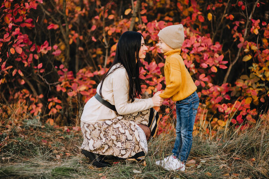 A girl, a woman and her little son are standing, embracing, in nature in autumn against the background of bushes, trees with red leaves. Photography, family.