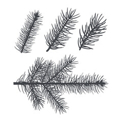A set of silhouettes of spruce branches elements to create a design for backgrounds, festive wrappers, textiles