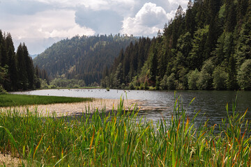 Fototapeta na wymiar Montain Natural Lake in Carpatians Montain