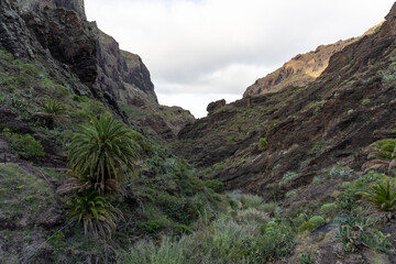 Landscape of Masca gorge. Tenerife. Canary Islands. Spain.
